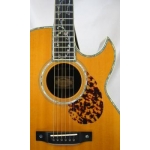 Acoustic Guitar Collection